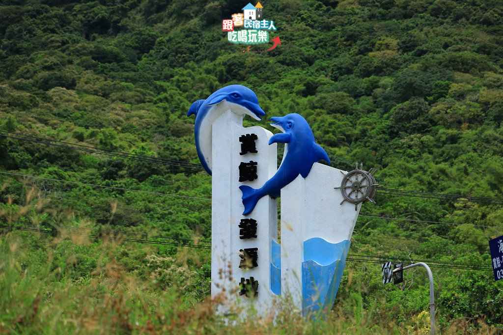 花蓮賞鯨-太平洋上體驗與海豚、鯨魚同行的樂趣